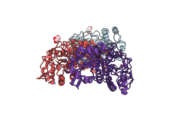 4LRB image