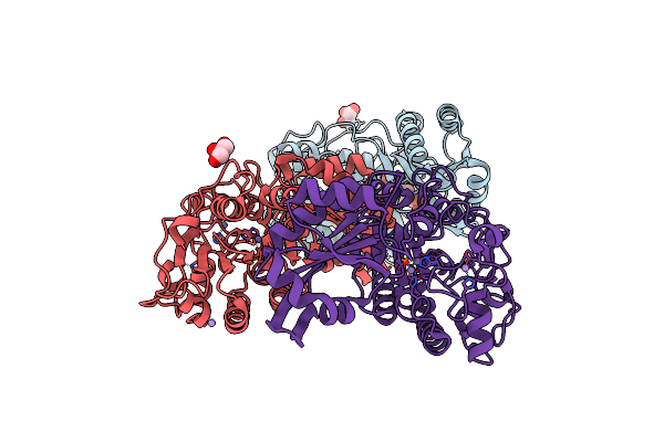 4LRF image