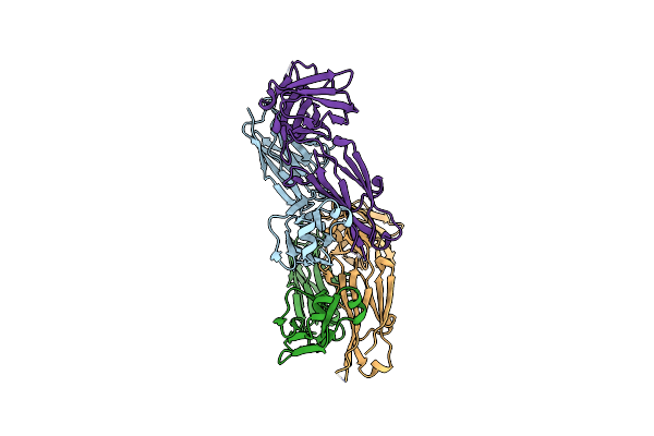 4LRI image