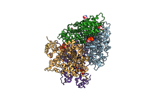 4LRL image
