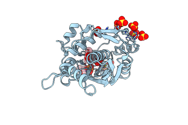 4LRR image