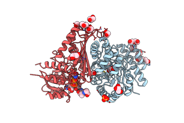 4LRS image