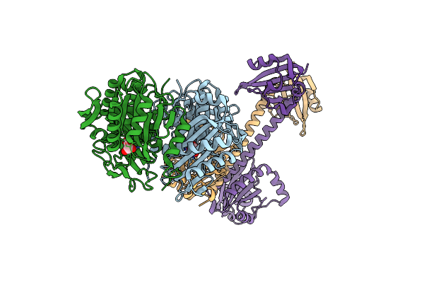 4LRX image