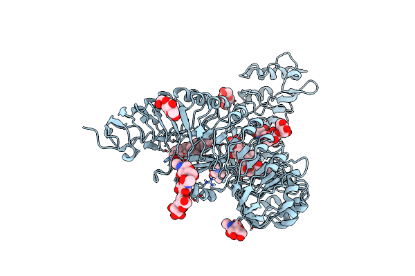 4LSA image