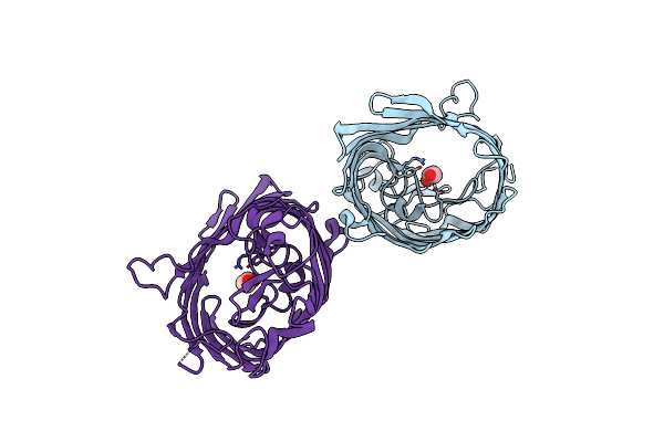 4LSF image