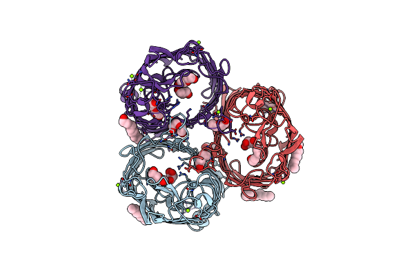 4LSI image