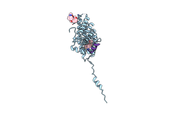 4LSJ image
