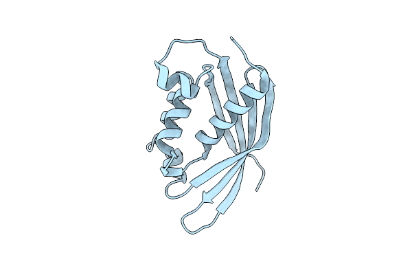 4LSO image