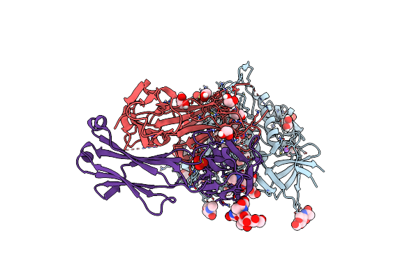 4LSP image