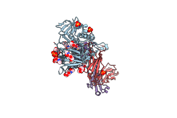 4LSR image