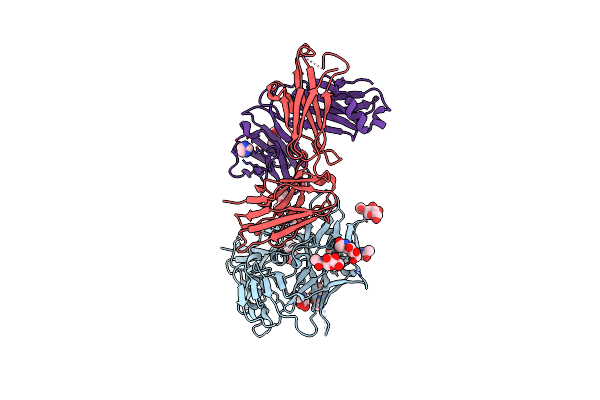 4LSV image
