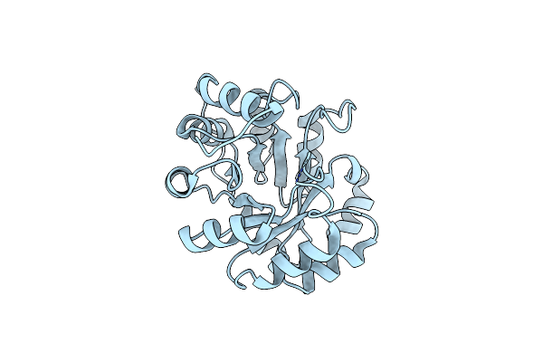 4LT9 image
