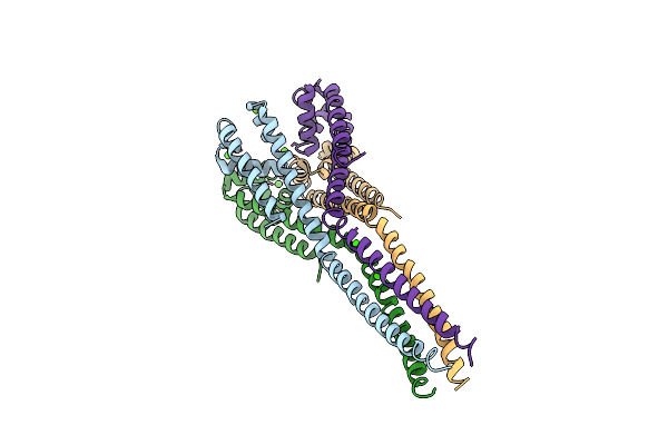 4LTP image