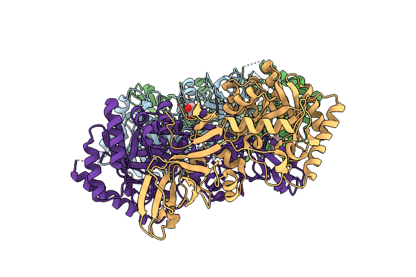 4LUS image