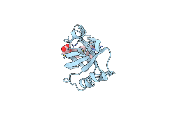 4LUZ image