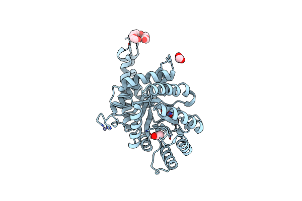4LV4 image