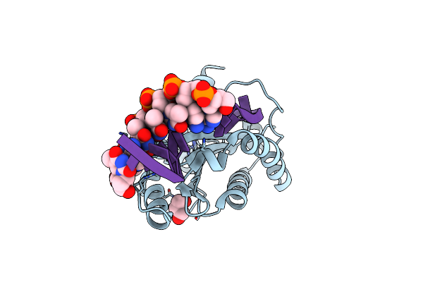 4LVI image