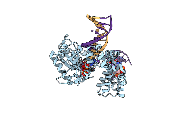 4LVS image