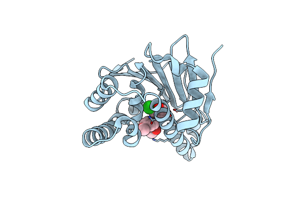 4LWE image