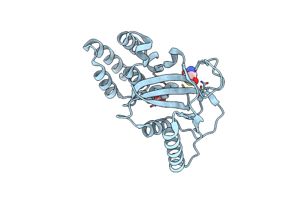 4LWM image