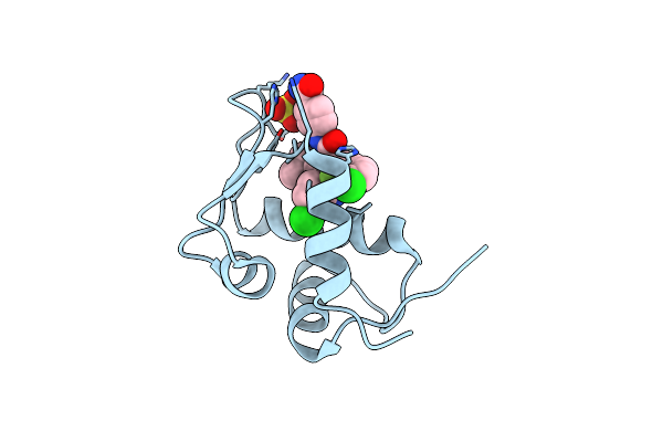 4LWU image
