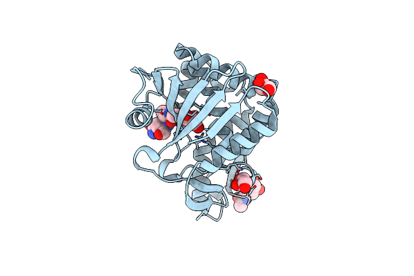4LWX image