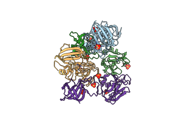 4LXC image