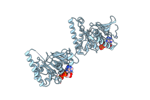 4LYA image
