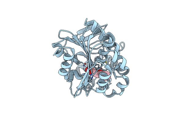 4LYE image