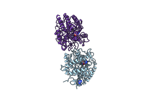 4LYP image