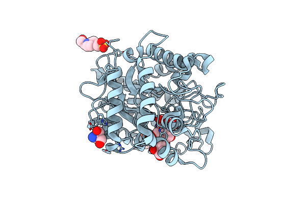 4LYQ image