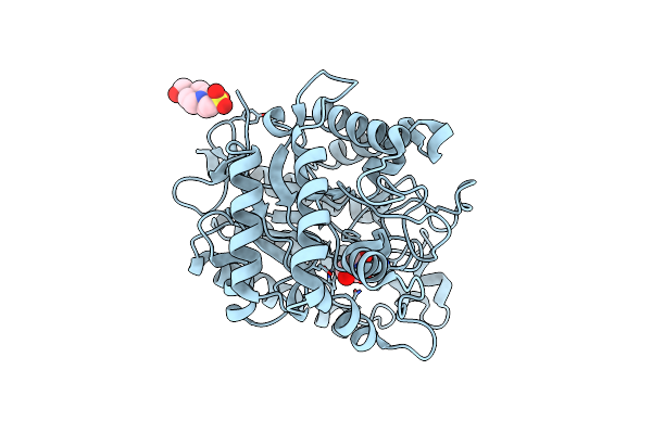 4LYR image