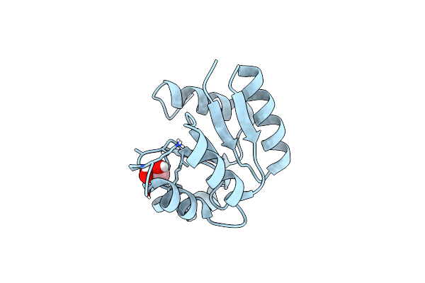 4LZL image