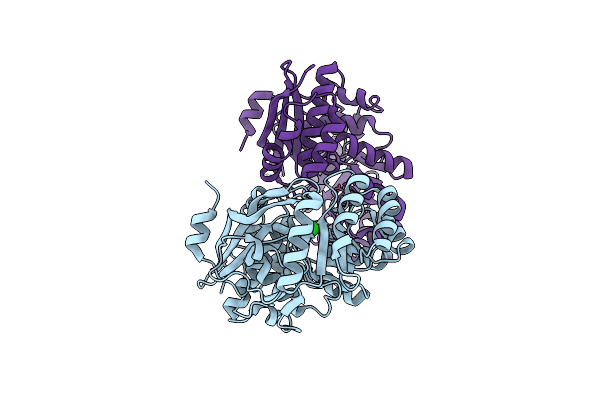 4M0X image