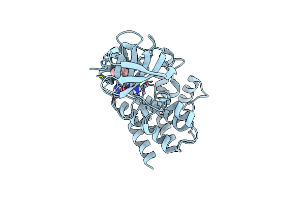 4M12 image