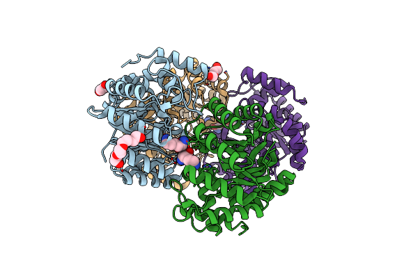 4M19 image