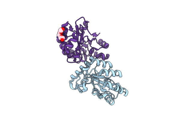4M1B image