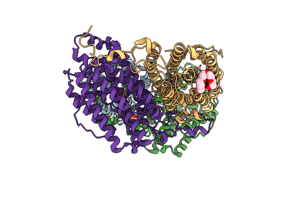 4M1I image