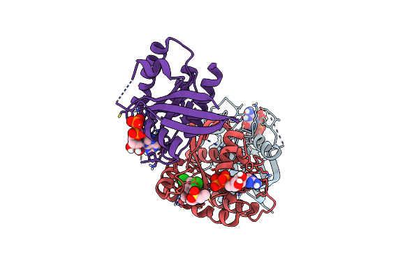 4M1O image