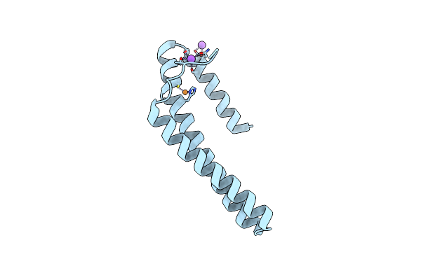 4M1P image