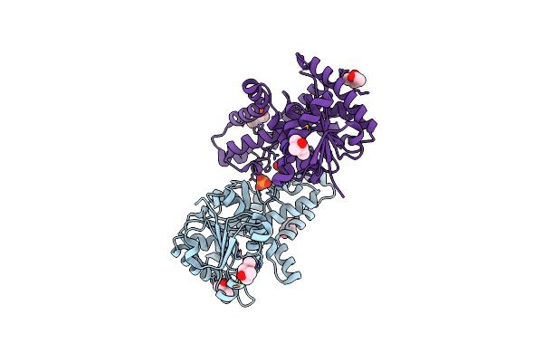 4M1Q image