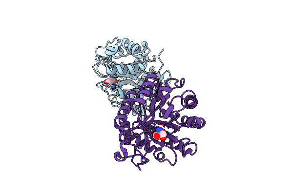 4M1R image