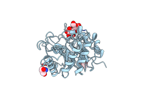 4M24 image