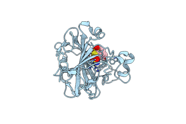 4M2W image