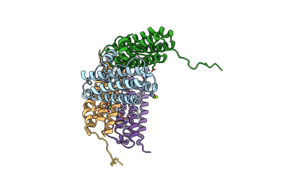 4M33 image