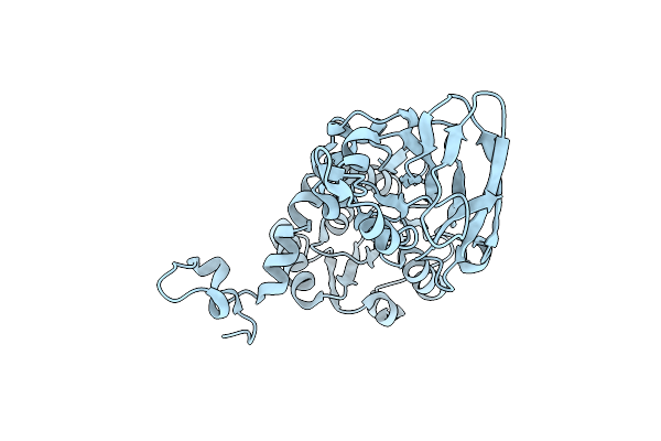4M36 image