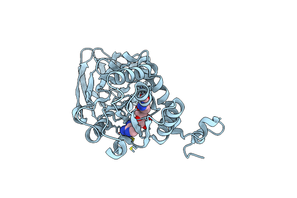 4M37 image