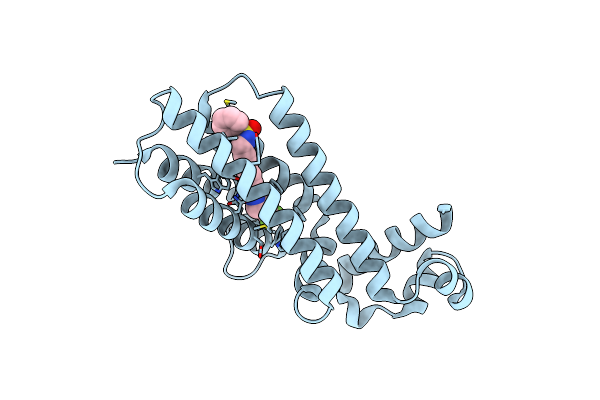 4M3D image