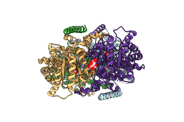 4M3P image