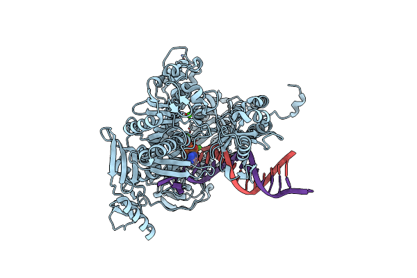 4M42 image